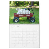 Windhoundの6匹の2016匹の絹の子犬のカレンダー カレンダー (1月 2027)