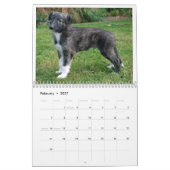 Windhoundsの2012匹の絹の子犬2 カレンダー (2月 2027)