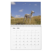 Windhunde カレンダー (3月 2026)