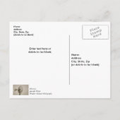 Windmill Sepiaのホイールありがとうポストカード ポストカード (裏面)