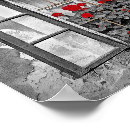 window-477937窓ハウス白黒の花 ポスター (角)