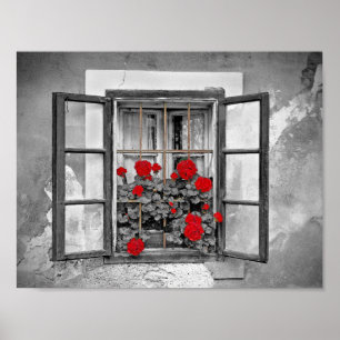 window-477937窓ハウス白黒の花 ポスター