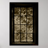 Window Ivy Sepia, Jeffrey Sinnock ポスター (正面)