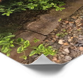 WindowsカラフルおよびBench Garden Decor ポスター (角)