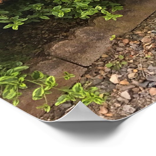 WindowsカラフルおよびBench Garden Decor ポスター (角)