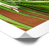 Windows (ポルトガル)ポスター ポスター (角)