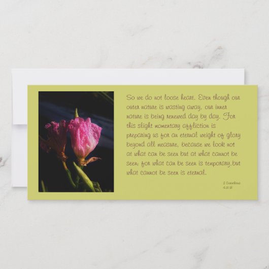 windows cats flowers 018.JPG，だから我々は見ない… (正面)