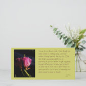 windows cats flowers 018.JPG，だから我々は見ない… (スタンド正面)