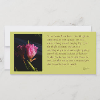 windows cats flowers 018.JPG，だから我々は見ない…