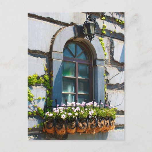 WINDOWS DOORS FLOWERS BUILDING POSTCROSSING ポストカード (正面)