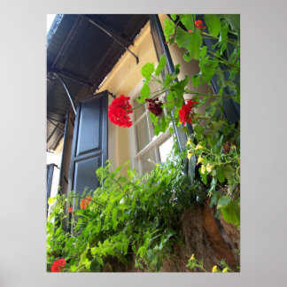 Windows of Charleston, SC ポスター