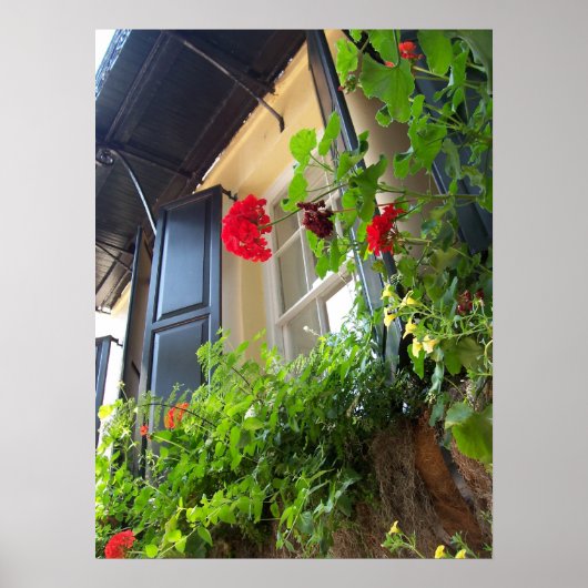 Windows of Charleston, SC ポスター (正面)