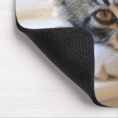 Windowsillマウスパッド上の子猫 マウスパッド (コーナー)