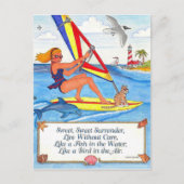 Windsurfer Postcard ポストカード (正面)
