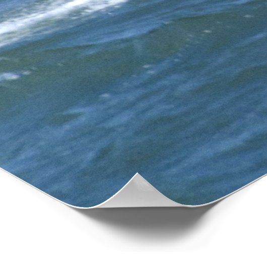 Windsurfers ポスター (角)