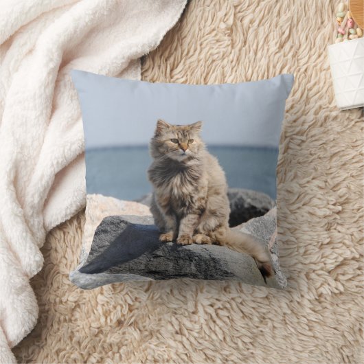 Windswept Cat by the Sea Cute Photo クッション (ブランケット)