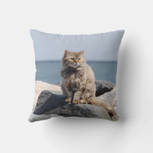 Windswept Cat by the Sea Cute Photo クッション (裏面)
