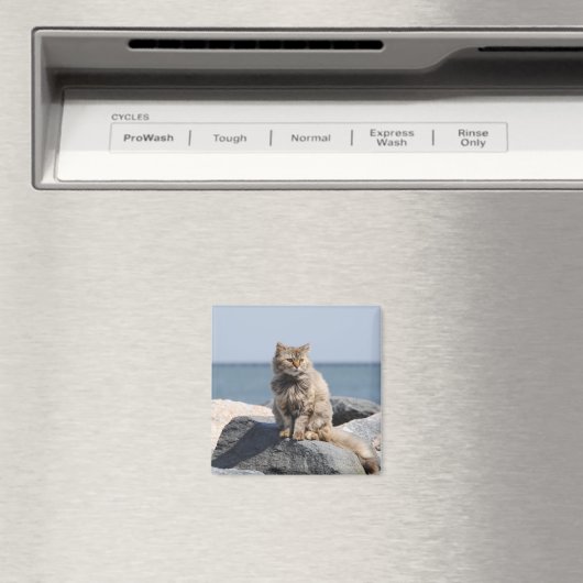 Windswept Cat by the Sea Cute Photo マグネット (インサイチュ (食洗機))