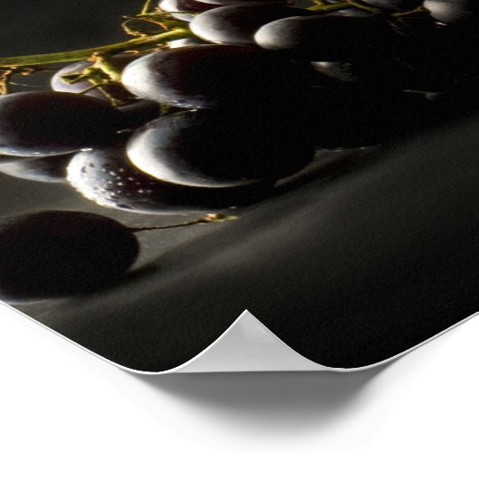 Wine Lover's poster ポスター (角)