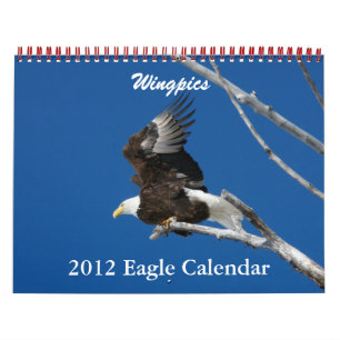 Wingpics Eagleカレンダー2012 カレンダー