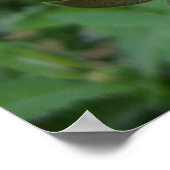 Wings of Grace (4)ポスター ポスター (角)