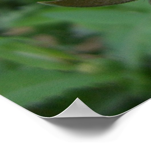 Wings of Grace (4)ポスター ポスター (角)