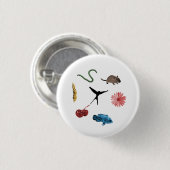 Wingspan All Food Tokensボタン 缶バッジ (正面&裏面)