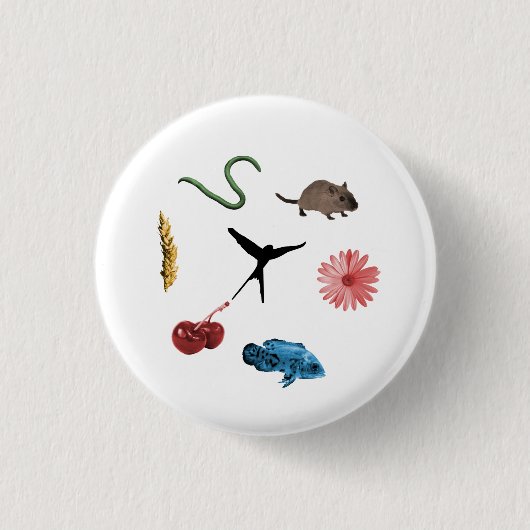 Wingspan All Food Tokensボタン 缶バッジ (正面)