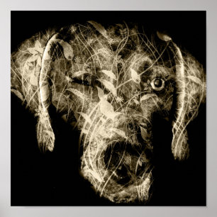 winking weimaraner ポスター