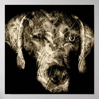 winking weimaraner ポスター