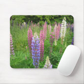Winkworthの植物園、サリー州のルピナス属 マウスパッド (マウス)