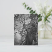 Winnebagoインディアンチーフダック狩りグレースケール ポストカード (スタンド正面)