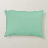 Winsome looking charming coloured theme pillow アクセントクッション (裏面)