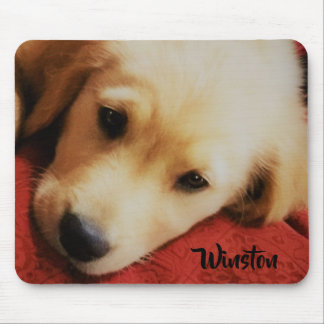 Winstonゴールデン・リトリーバーの子犬、マウスパッド マウスパッド