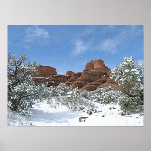 Winter at Arches ポスター (正面)