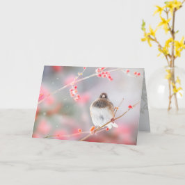 "Winter Berry Junco", 5" x 7"折り畳みグリーティングカード カード