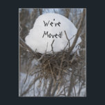 Winter Bird Nest Change of Address発表 案内ポストカード<br><div class="desc">可愛い冬の鳥の巣の住所はがきの変更で新しい住所を発表する。おカスタマイズ名前、住所、電話番号、電子メールアドレスが入っている。このユニーク移転発表には、雪に満ちた冬の鳥の巣の自然写真が含まれている。南素晴らしに移動する雪鳥のために！</div>
