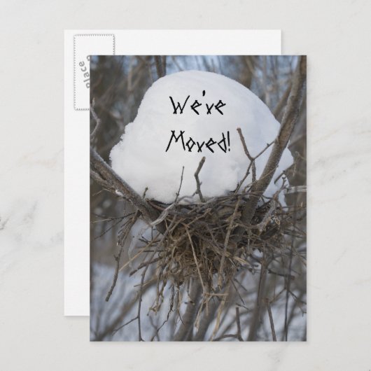 Winter Bird Nest Change of Address発表 案内ポストカード (正面/裏面)