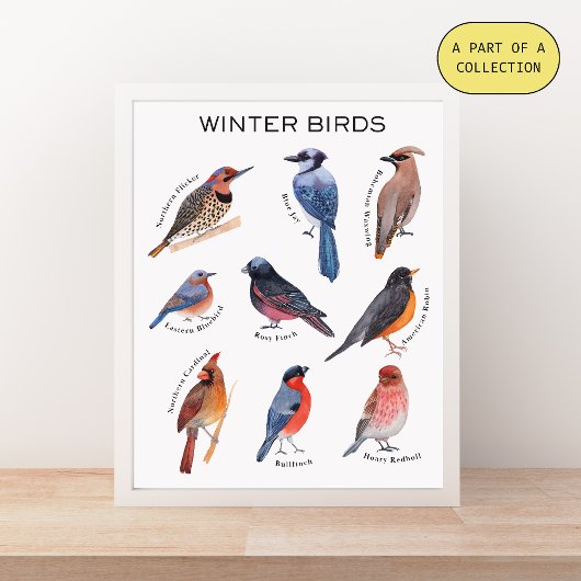 Winter Birds Educational Poster ポスター