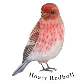 Winter Birds Educational Poster ポスター