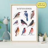 Winter Birds Educational Poster ポスター
