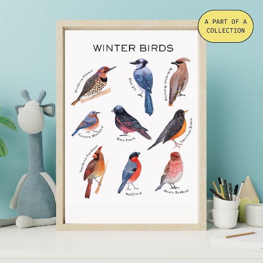 Winter Birds Educational Poster ポスター