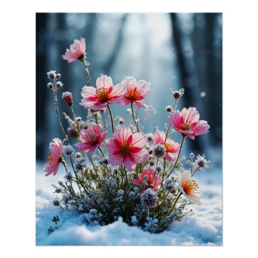 Winter Bloom – 雪の中のピンクコスモス ポスター (正面)