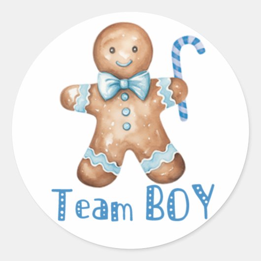 Winter Blue Cookie Team Boy Sticker ラウンドシール (正面)