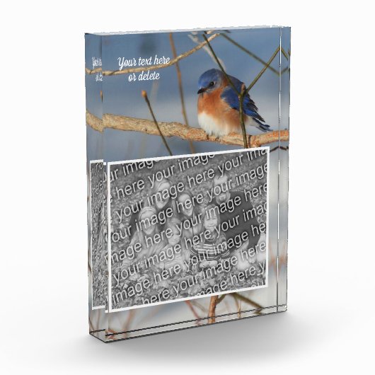 Winter Bluebirdパーソナライズされた独自の作成 フォトブロック (左)