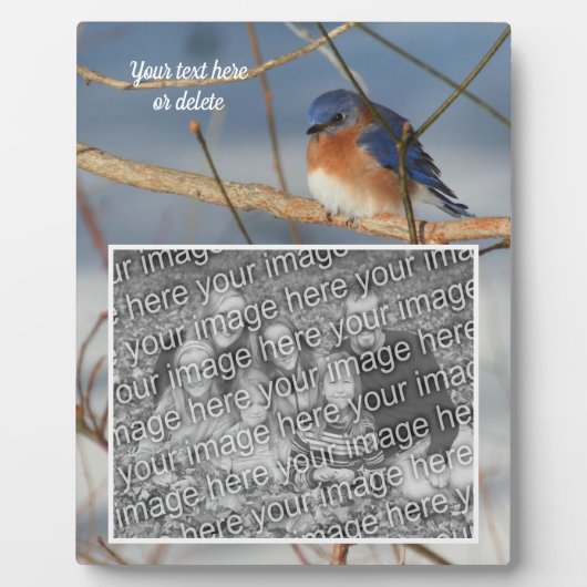 Winter Bluebird独自の写真を作成 フォトプラーク (正面)