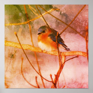 Winter Bluebird Abstract Grunge ポスター