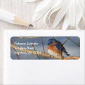 Winter Bluebird Animal Address ラベル (インサイチュ)