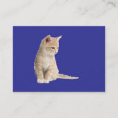 Winter Celebrations in the Snow, with Kittens エンクロージャーカード (裏面)