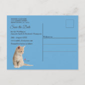 Winter Celebrations in the Snow, with Kittens 案内ポストカード (裏面)